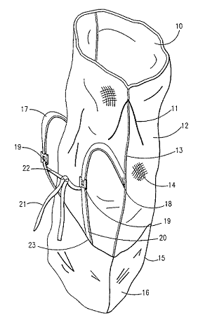 Turkey Tote