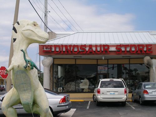 Dinosaur Store Cocoa Beach