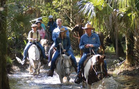 Horse tours Brevard