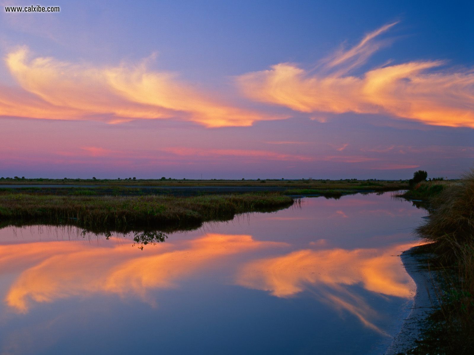 Florida Refuge