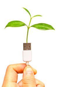 hand holding a usb cable with a small plant