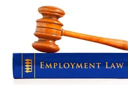 Employment Law Book